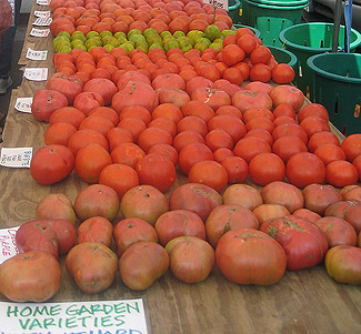 tomatoes