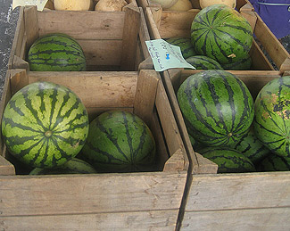 watermelon