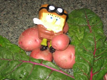 Still life with potatoes, chard, and Sponge Bob